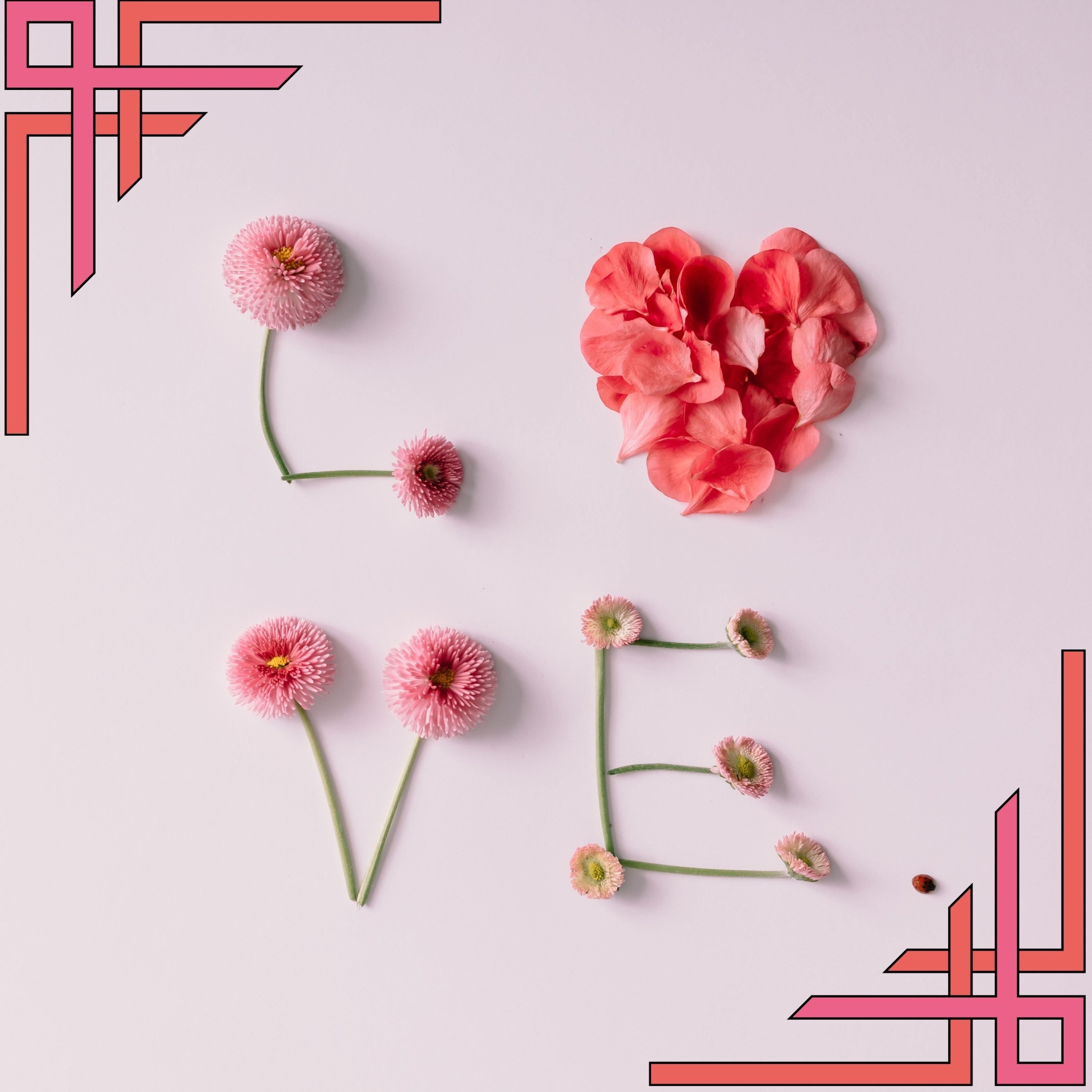 Love Wallpapers HD - iPad Wallpapers 4k,5K and iPad backgrounds