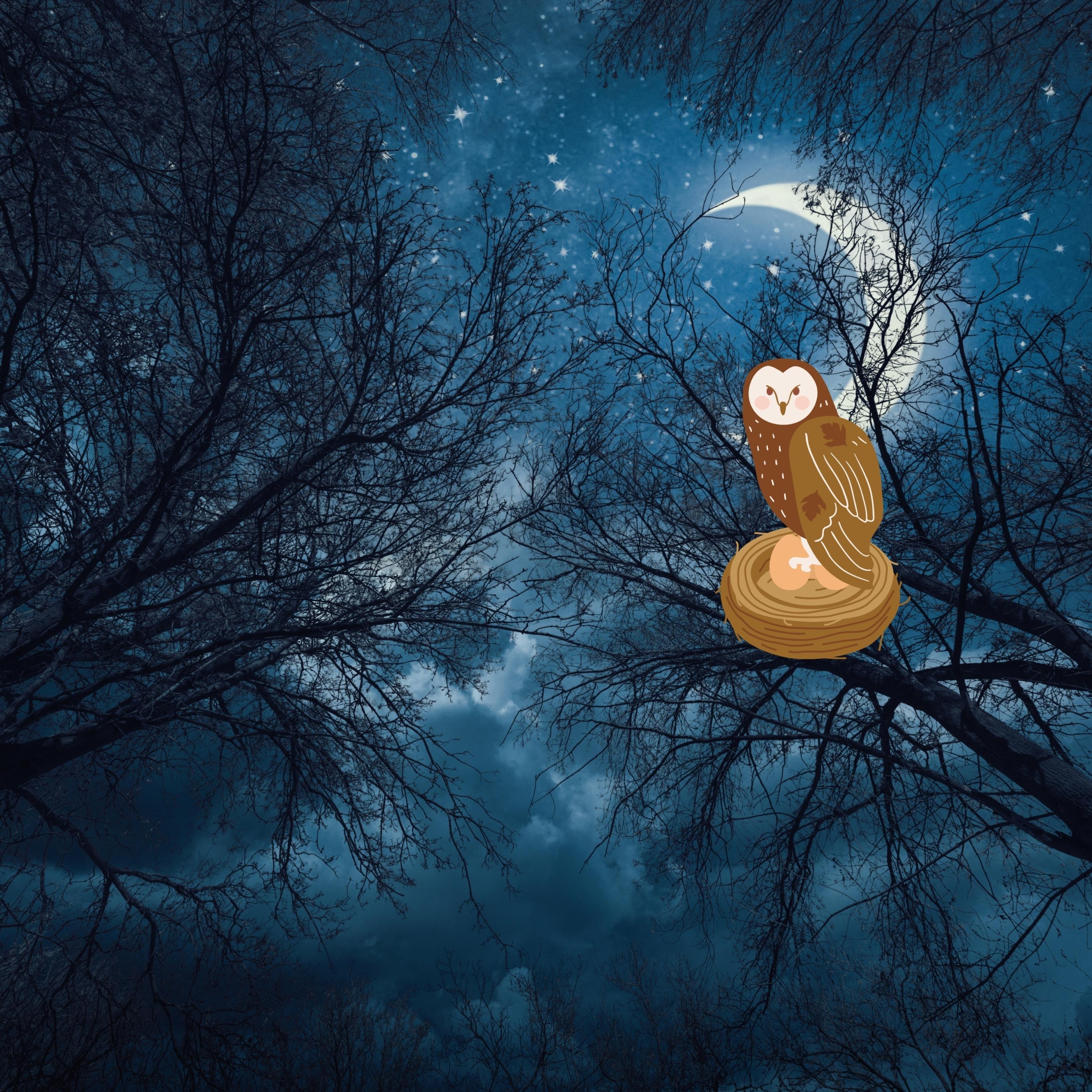 The Owl House Wallpaper 4K for Android - Download